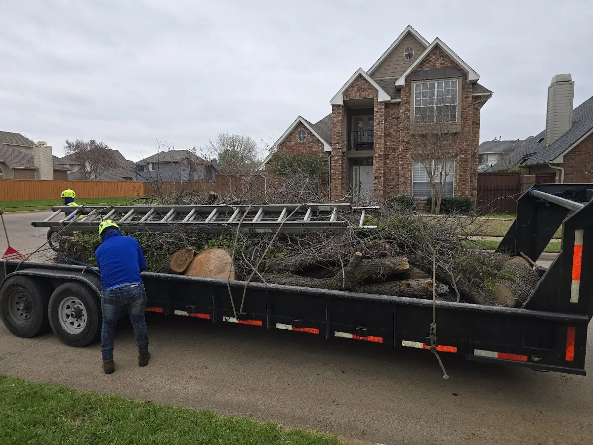Expert Lot Clearing with proper safety equipment in Limestone